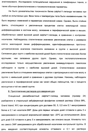 Выделенный полипептид, связывающий рецептор zalpha11-лиганда (варианты), кодирующий его полинуклеотид (варианты), вектор экспрессии (варианты) и клетка-хозяин (варианты) (патент 2346951)