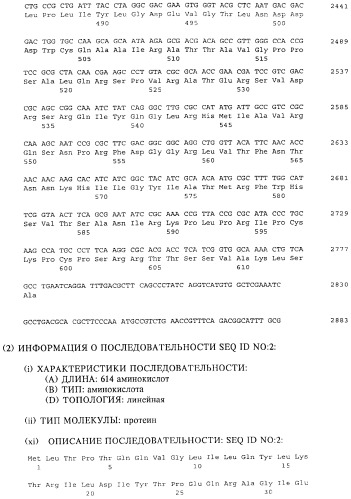 Линейные альфа-1,4-глюканы и способ их получения (патент 2272842)