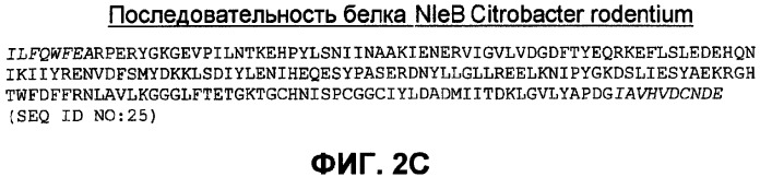 Бактериальные факторы вирулентности и варианты их применения (патент 2465331)