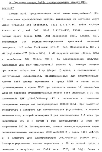 Новый лиганд рецептора цитокина zcytor17 (патент 2360923)