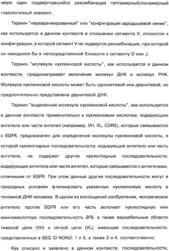 Человеческие моноклональные антитела к рецептору эпидермального фактора роста (egfr), способ их получения и их использование, гибридома, трансфектома, трансгенное животное, экспрессионный вектор (патент 2335507)