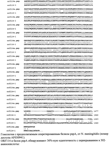 Антигены neisseria meningitidis (патент 2343159)