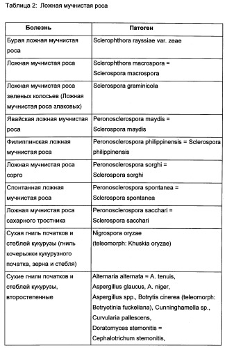 Новые последовательности нуклеиновых кислот и их применение в способах достижения устойчивости к патогенам в растениях (патент 2346985)