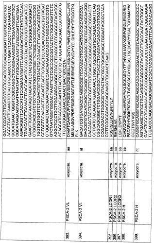 Pscaxcd3, cd19xcd3, c-metxcd3, эндосиалинxcd3, epcamxcd3, igf-1rxcd3 или fap-альфаxcd3 биспецифическое одноцепочечное антитело с межвидовой специфичностью (патент 2547600)