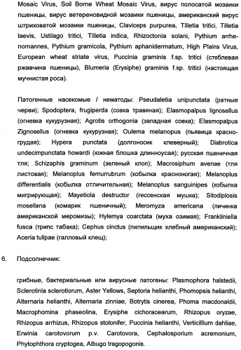 Новые последовательности нуклеиновых кислот и их применение в способах достижения устойчивости к патогенам в растениях (патент 2346985)