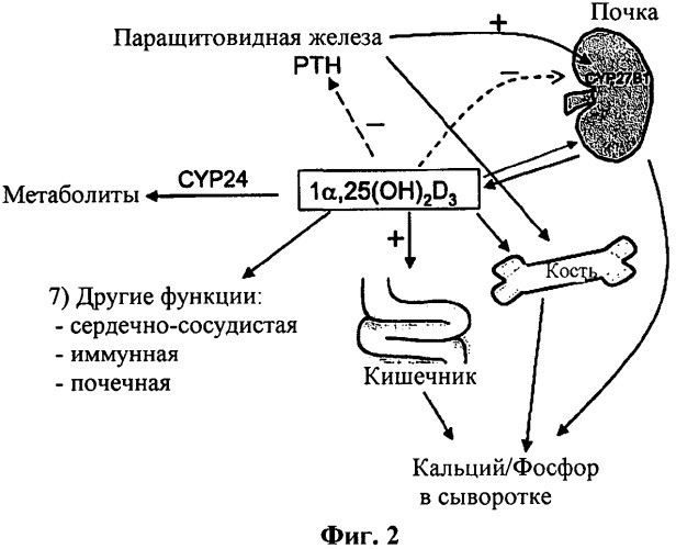 Новые активаторы рецепторов витамина d и способы их получения (патент 2535448)