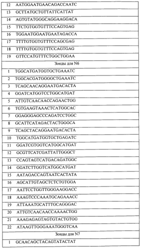 Биочип и способ типирования генов гемагглютинина и нейраминидазы вируса гриппа а (патент 2560591)