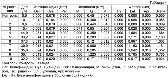 Роза, содержащая флавон и мальдивин, и способ ее получения (патент 2463348)