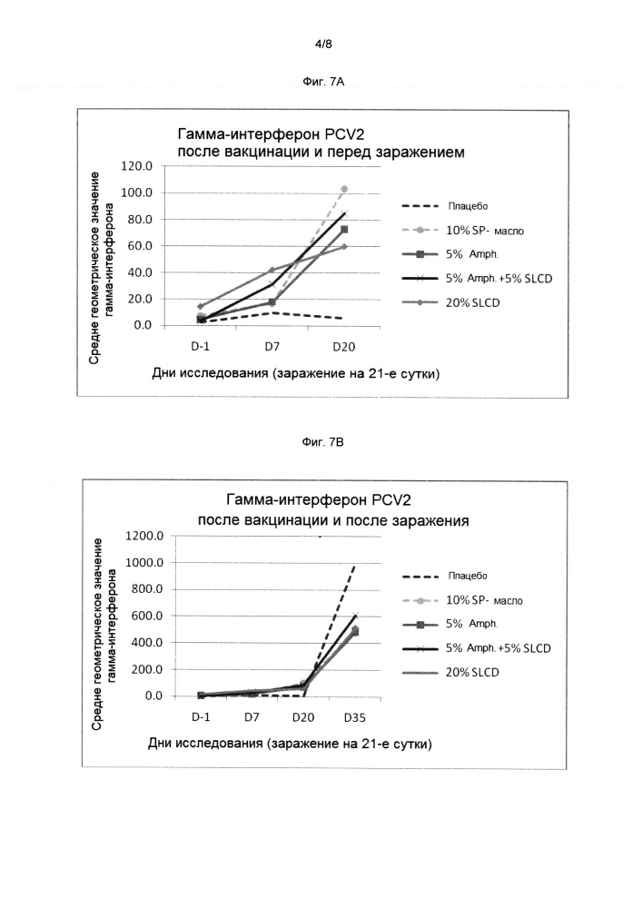 Комбинированная вакцина pcv/mycoplasma hyopneumoniae/prrs (pcv/mycoplasma hyopneumoniae/prrs combination vaccine) (патент 2644256)