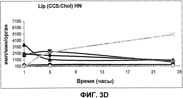 Сфингоидные полиалкиламиновые конъюгаты для вакцинации (патент 2361577)