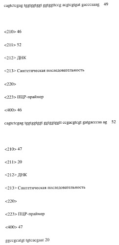 Модифицированное агонистическое антитело (патент 2295537)