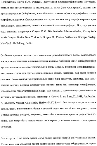 Противоперхотные композиции, содержащие пептиды (патент 2491052)