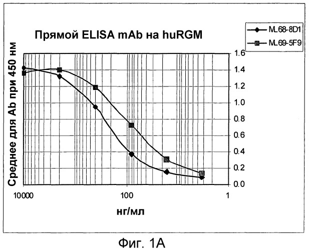 Моноклональные антитела против белка rgm а и их применение (патент 2524136)