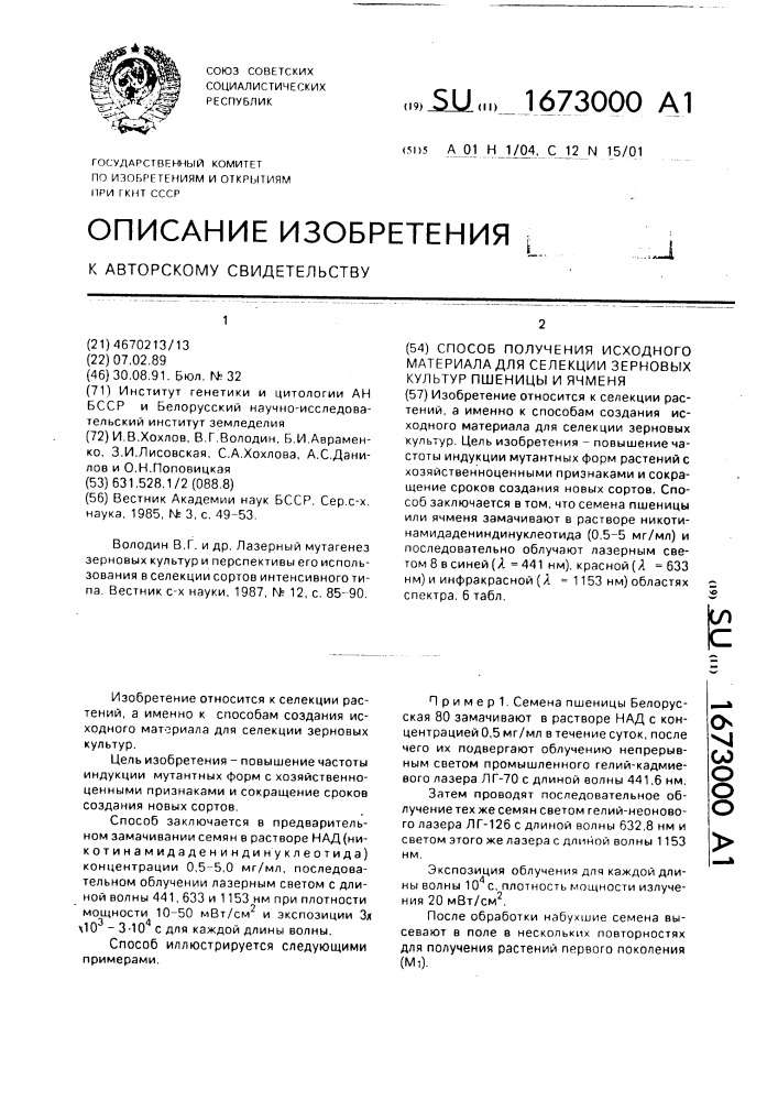 Способ получения исходного материала для селекции зерновых культур пшеницы и ячменя (патент 1673000)