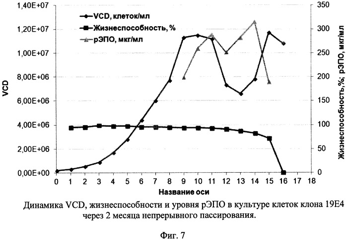 Синтетическая днк, кодирующая эритропоэтин человека, содержащий её вектор, способ получения штамма-продуцента эритропоэтина, штамм-продуцент эритропоэтина (патент 2548806)