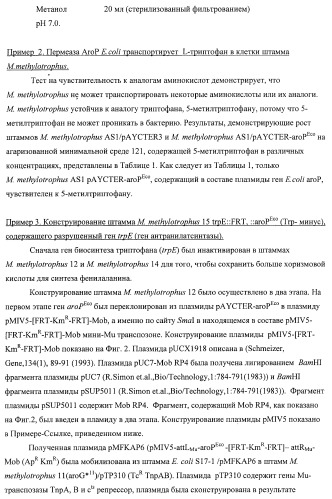 Способ придания бактерии, принадлежащей к роду methylophilus, ауксотрофности по l-аминокислоте, бактерия, принадлежащая к роду methylophilus, и способ продукции l-аминокислоты (патент 2395569)