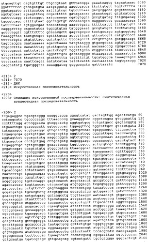 Рекомбинантные микроорганизмы, продуцирующие метионин (патент 2447146)