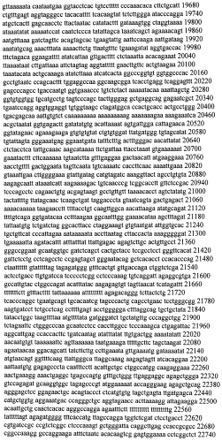 Модуляция экспрессии гентингтина (патент 2562861)