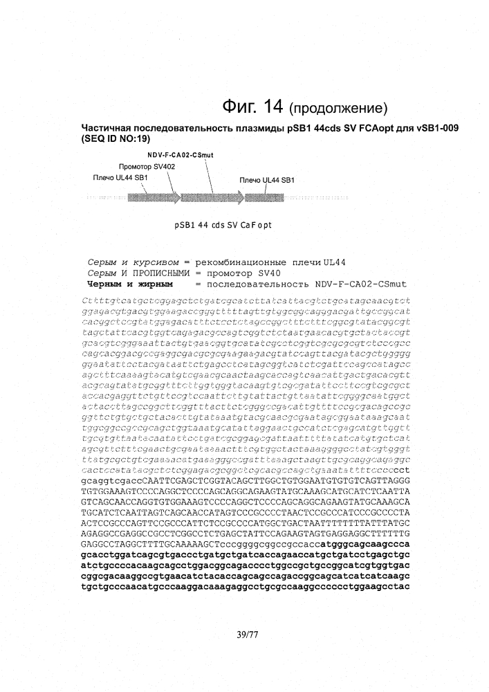 Рекомбинантные векторы hvt, экспрессирующие антигены патогенов птиц и их применение (патент 2620936)