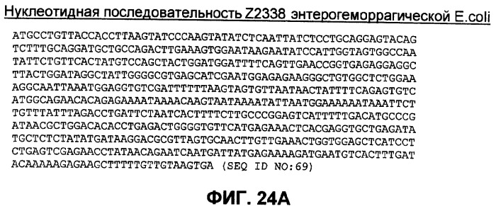 Бактериальные факторы вирулентности и варианты их применения (патент 2465331)