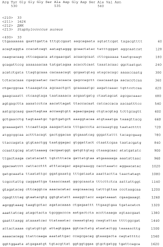 Стабильные иммуногенные композиции антигенов staphylococcus aureus (патент 2570730)