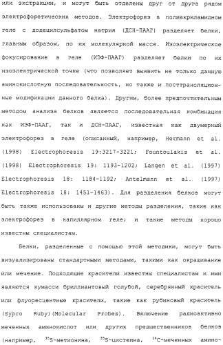 Гены corynebacterium glutamicum, кодирующие белки метаболических путей (патент 2306339)