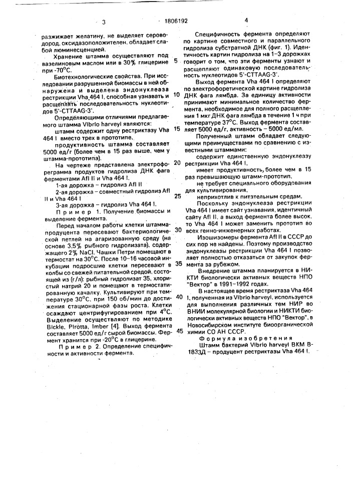 Штамм бактерий viвriо наrvеyi - продуцент рестриктазы vна 464 i (патент 1806192)