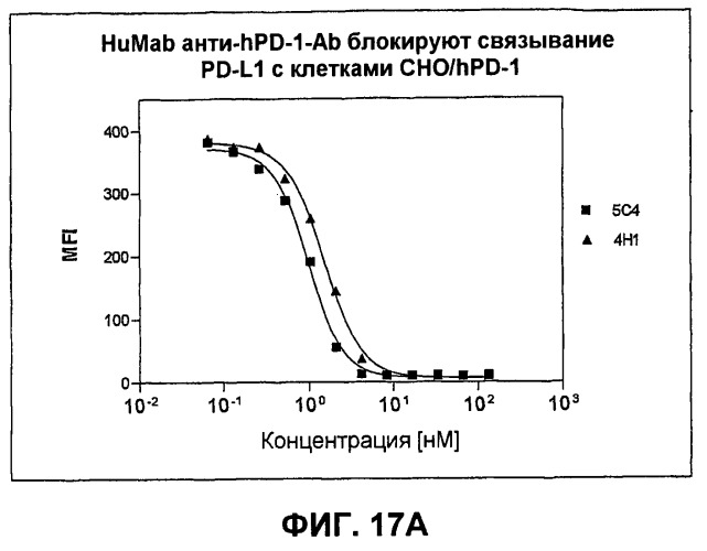 Моноклональные антитела человека к белку программируемой смерти 1 (pd-1) и способы лечения рака с использованием анти-pd-1-антител самостоятельно или в комбинации с другими иммунотерапевтическими средствами (патент 2494107)