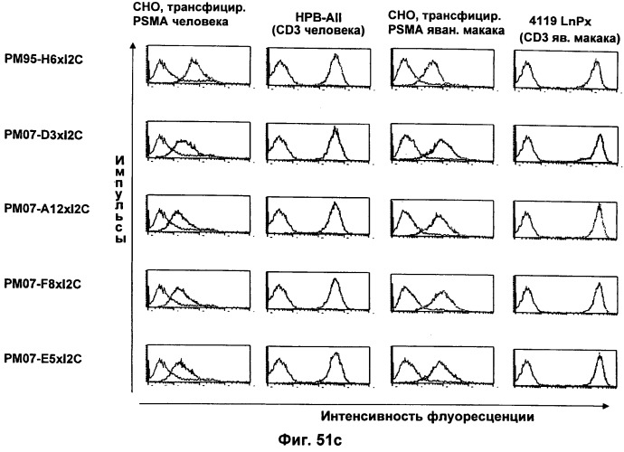 Psma×cd3 биспецифическое одноцепочечное антитело с межвидовой специфичностью (патент 2559531)