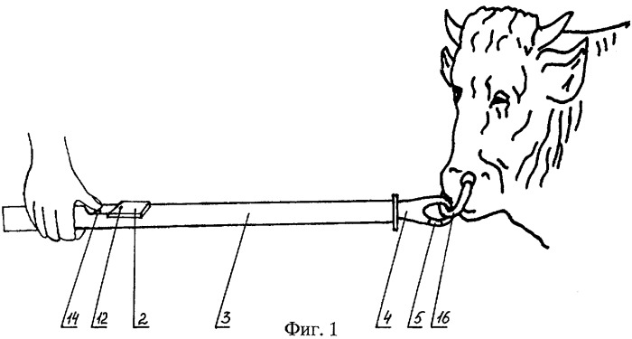 Устройство для фиксации быка-производителя (патент 2315583)