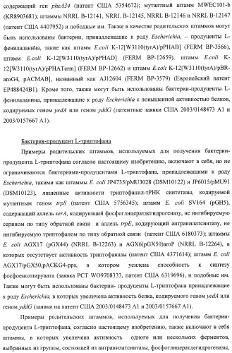 Способ получения l-треонина с использованием бактерии, принадлежащей к роду escherichia, в которой инактивирован ген msba (патент 2392313)