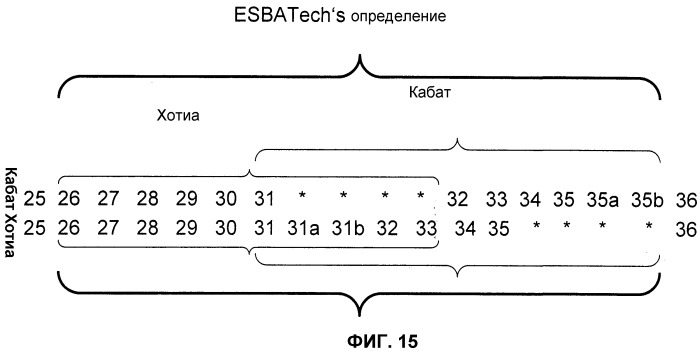 Стабильные и растворимые антитела, ингибирующие vegf (патент 2531523)