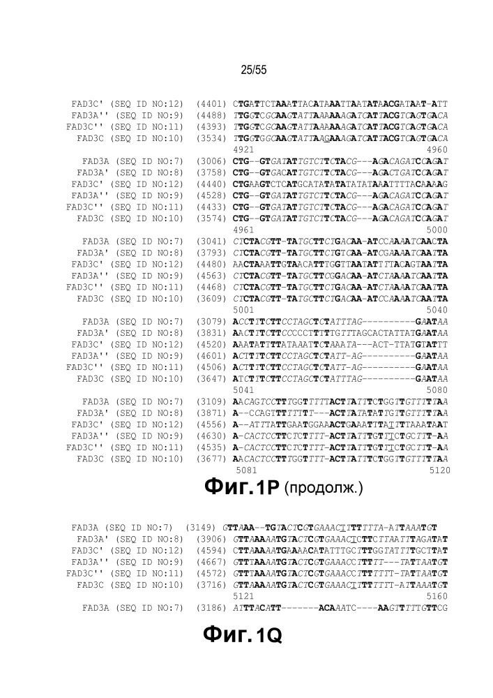 Локусы fad3 для выполнения операций и соответствующие связывающиеся со специфическими сайтами-мишенями белки, способные к вызову направленных разрывов (патент 2665811)