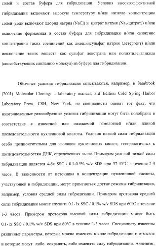 Растения с повышенной урожайностью и способ их получения (патент 2377306)