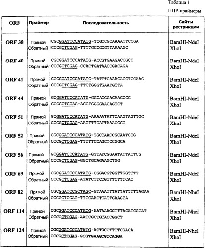 Антигены neisseria meningitidis (патент 2343159)