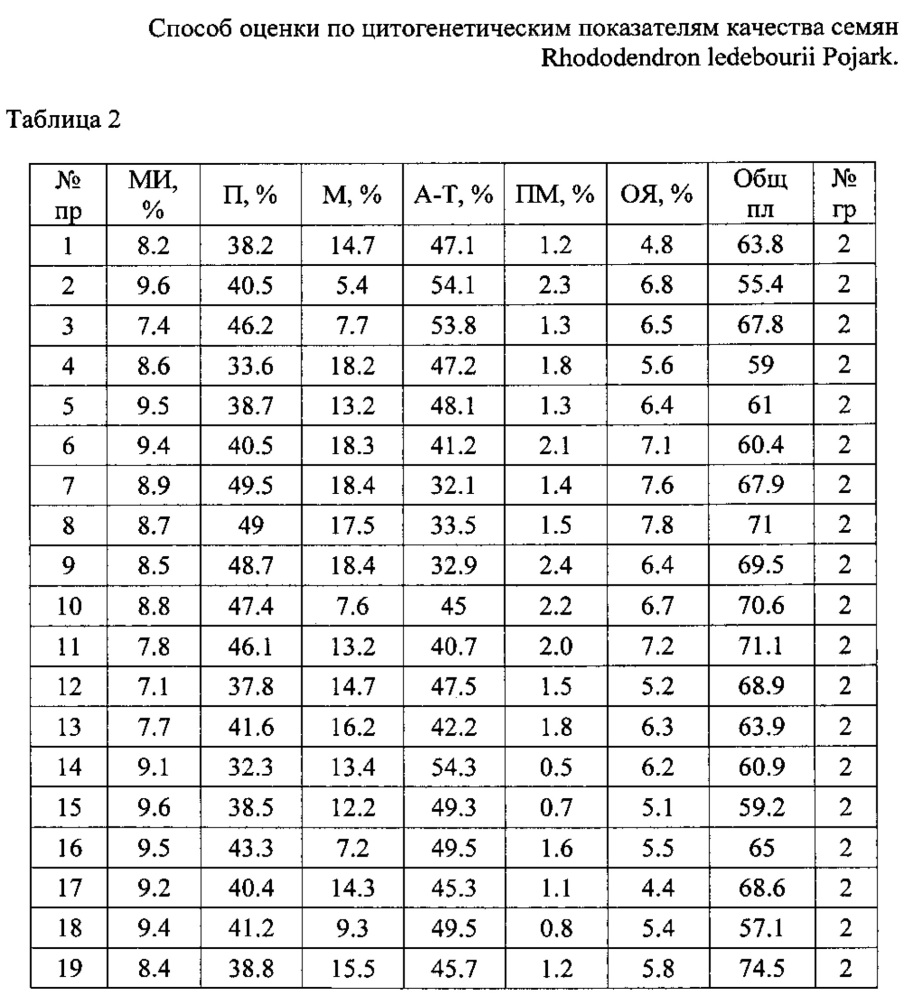 Способ оценки по цитогенетическим показателям качества семян rhododendron ledebourii pojark (патент 2654605)