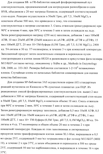 Композиции и способы диагностики и лечения опухоли (патент 2423382)