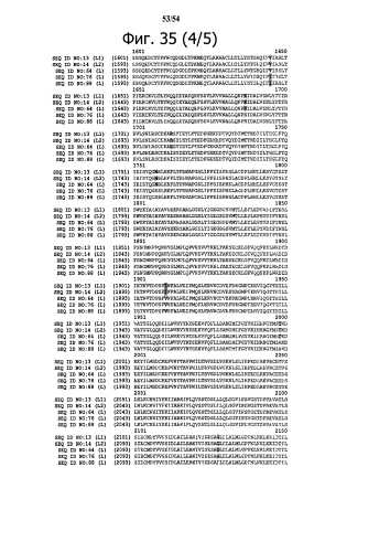 Способ получения рекомбинантного вирусного вектора apmv-8 (патент 2592544)