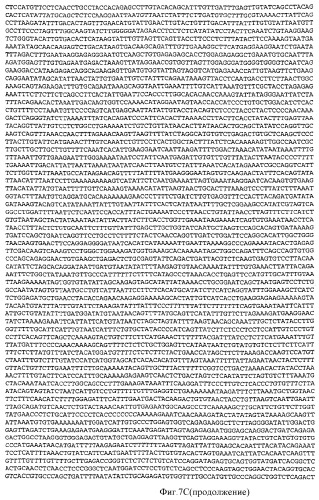 Применение рам (патент 2345785)