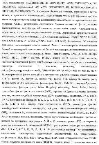 Система экспрессии компонентов ортогональной трансляции в эубактериальной клетке-хозяине (патент 2467069)