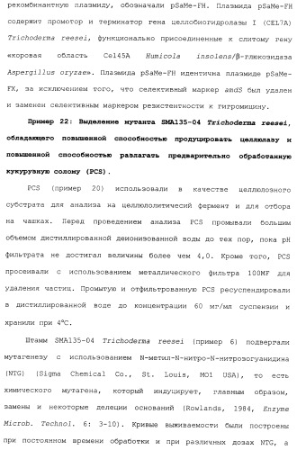 Клетка-хозяин trichoderma reesei для получения целлюлолитической белковой композиции, целлюлолитическая белковая композиция, способы ее получения и применения (патент 2494146)
