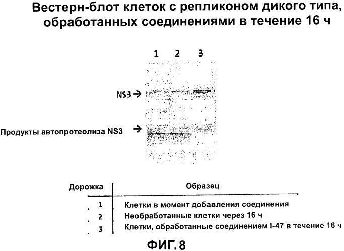 Ингибиторы протеазы вируса гепатита с и их применение (патент 2523790)