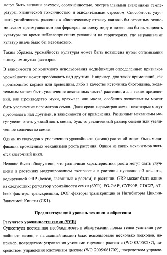 Растения, имеющие улучшенные характеристики роста, и способы их получения (патент 2463352)
