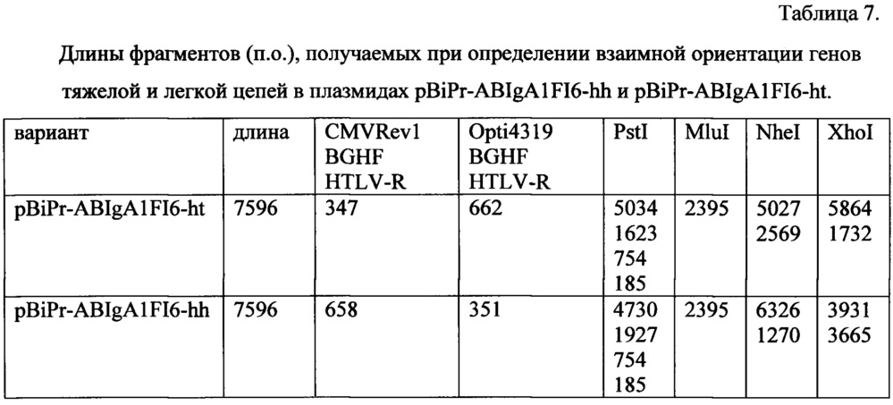 Рекомбинантная плазмидная днк pbipr-abiga1fi6-ht для получения рекомбинантного иммуноглобулина а изотипа iga1 (патент 2656142)