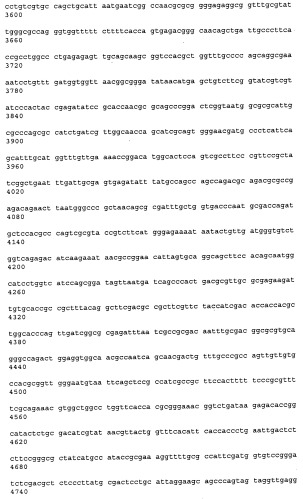 Антитела к рецептору конечных продуктов глубокого гликирования (rage) и их применения (патент 2518351)