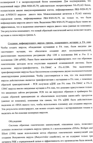 Выделенный рекомбинантный вирус гриппа и способы его получения (патент 2351651)