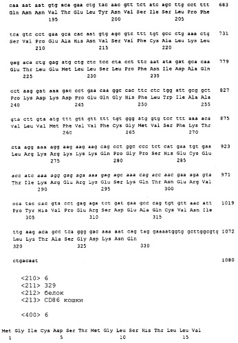 Нуклеиновые кислоты, кодирующие рецептор ctla-4 кошки, вектор, клетки-хозяева, вакцины, олигонуклеотиды, полипептиды ctla-4 кошки и способы индукции и подавления иммунного ответа у кошки (патент 2377302)