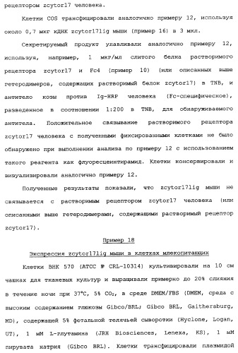 Новый лиганд рецептора цитокина zcytor17 (патент 2360923)
