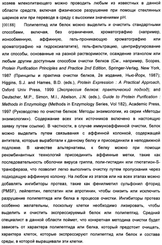 Получение рекомбинантного белка pфно-lg (патент 2458988)