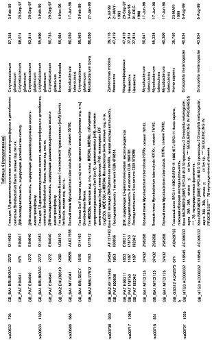 Гены corynebacterium glutamicum, кодирующие белки метаболических путей (патент 2306339)
